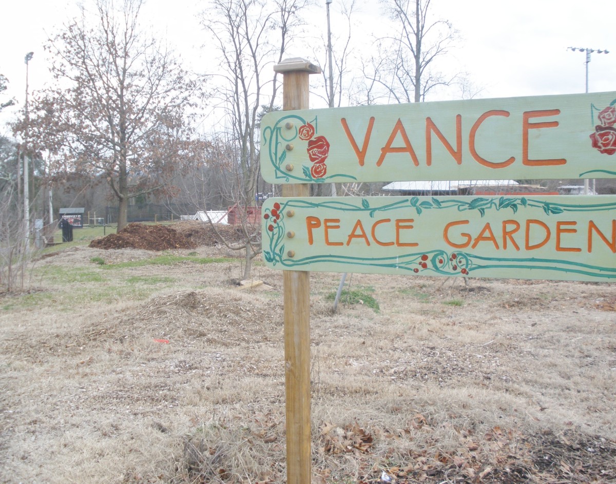 Neighborhood school peace garden.