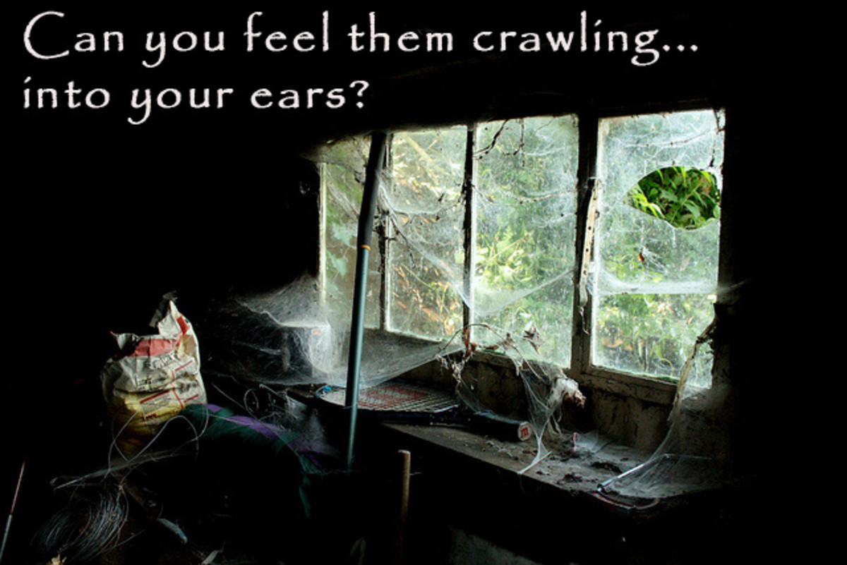 Creepy Quotes And Scary Sayings Holidappy