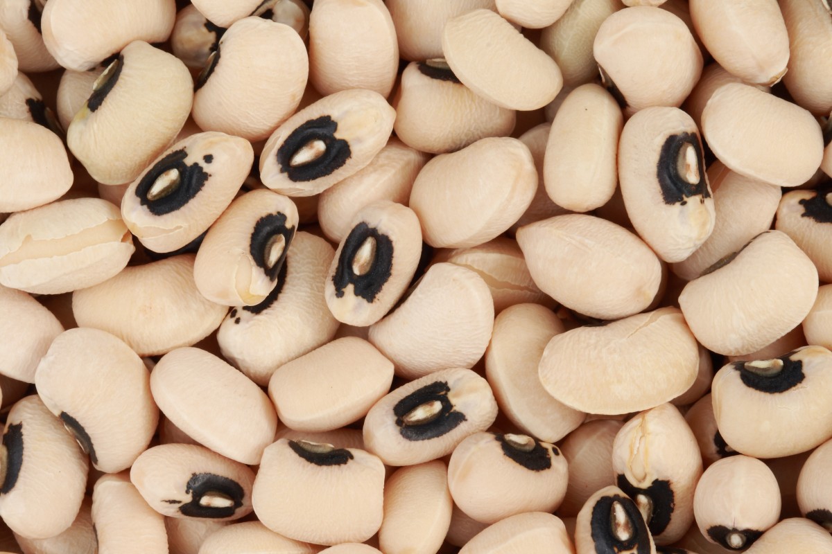 Eating black-eyed peas on New Year's Day is thought to bring good luck in some parts of the world, such as the southern United States. 