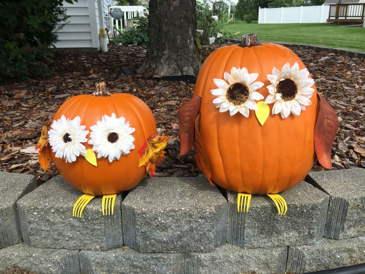 Pumpkin owls
