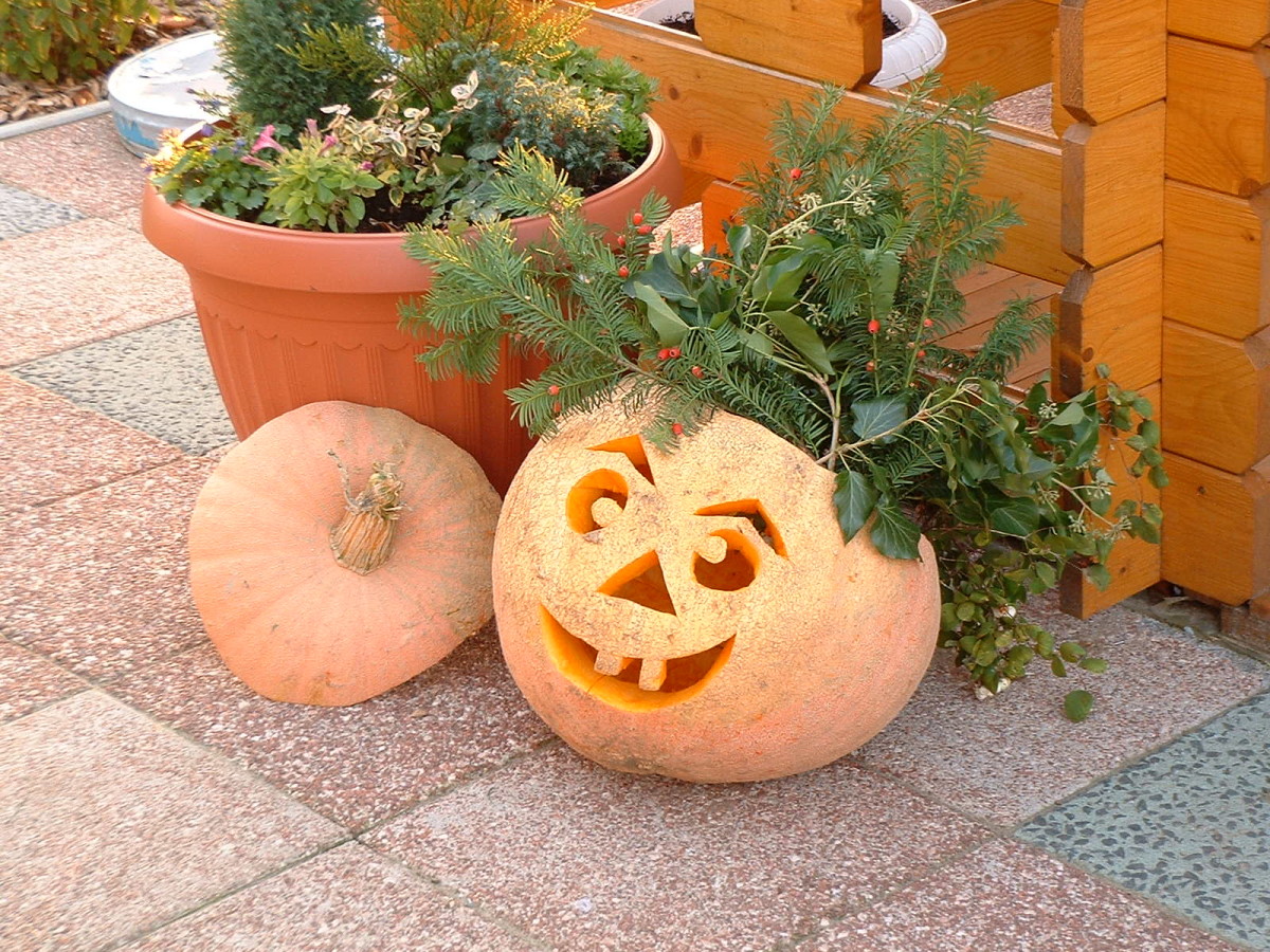 Pumpkin planter craft