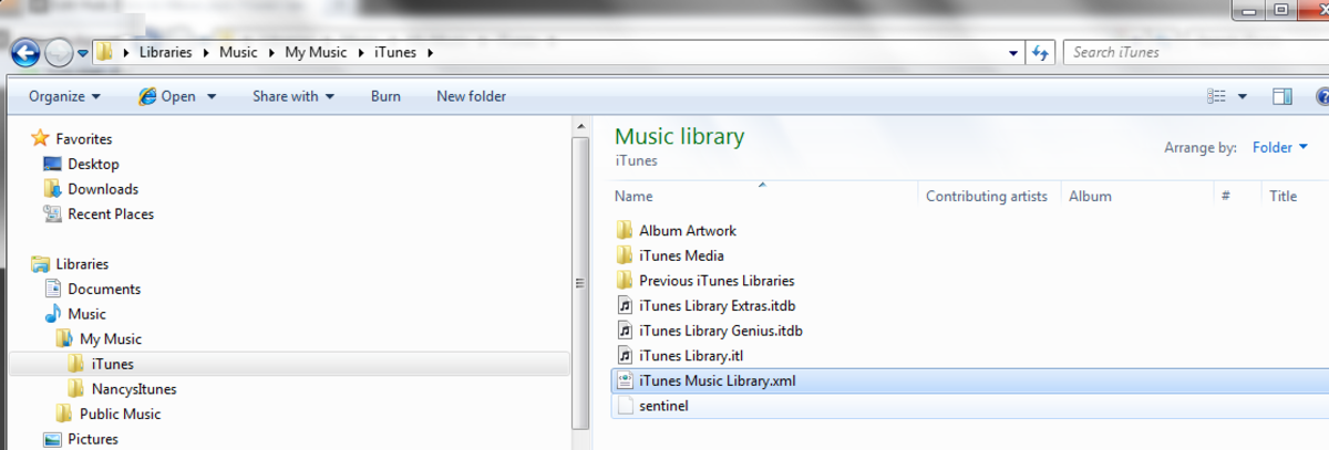 Edit the file "iTunes Music Library.xml" (Click to enlarge)