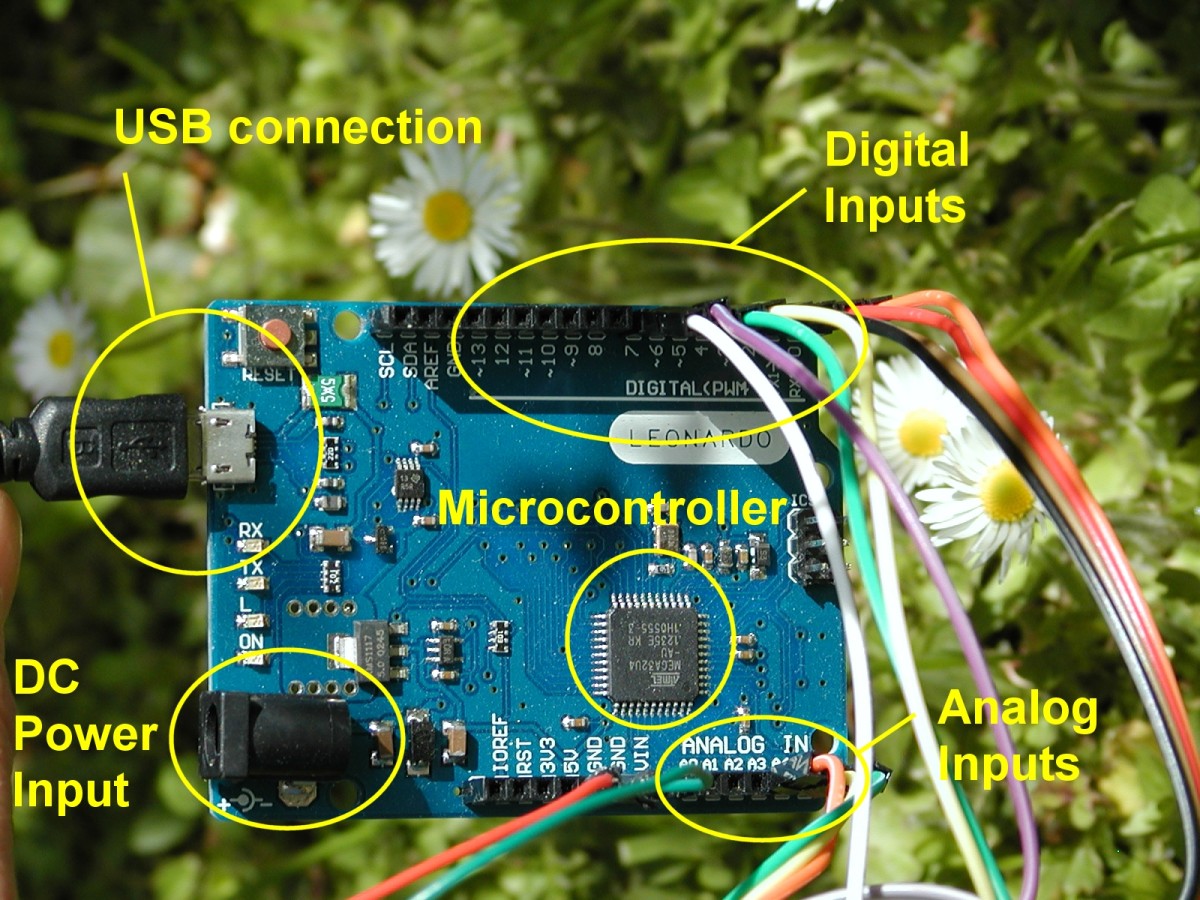 Leonardo - one of the range of Arduino boards. Digital pins can be configured as either input or output. Several digital pins can double up as analog inputs in addition to the standard analog inputs