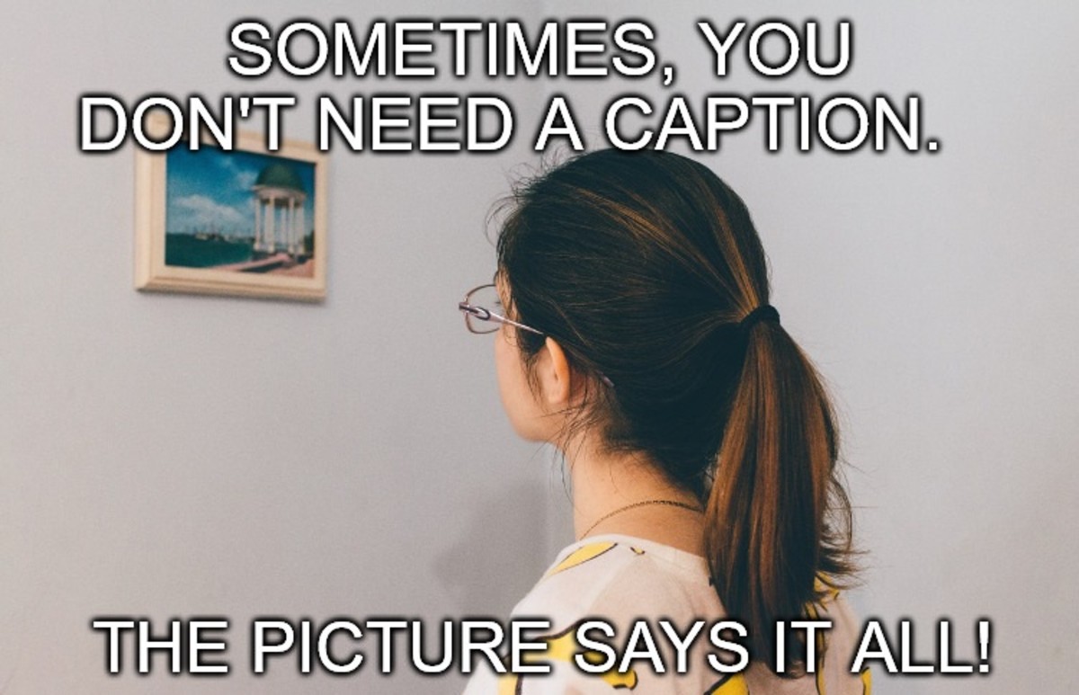 Get 33 48 Best Photo Caption In English Pictures Png