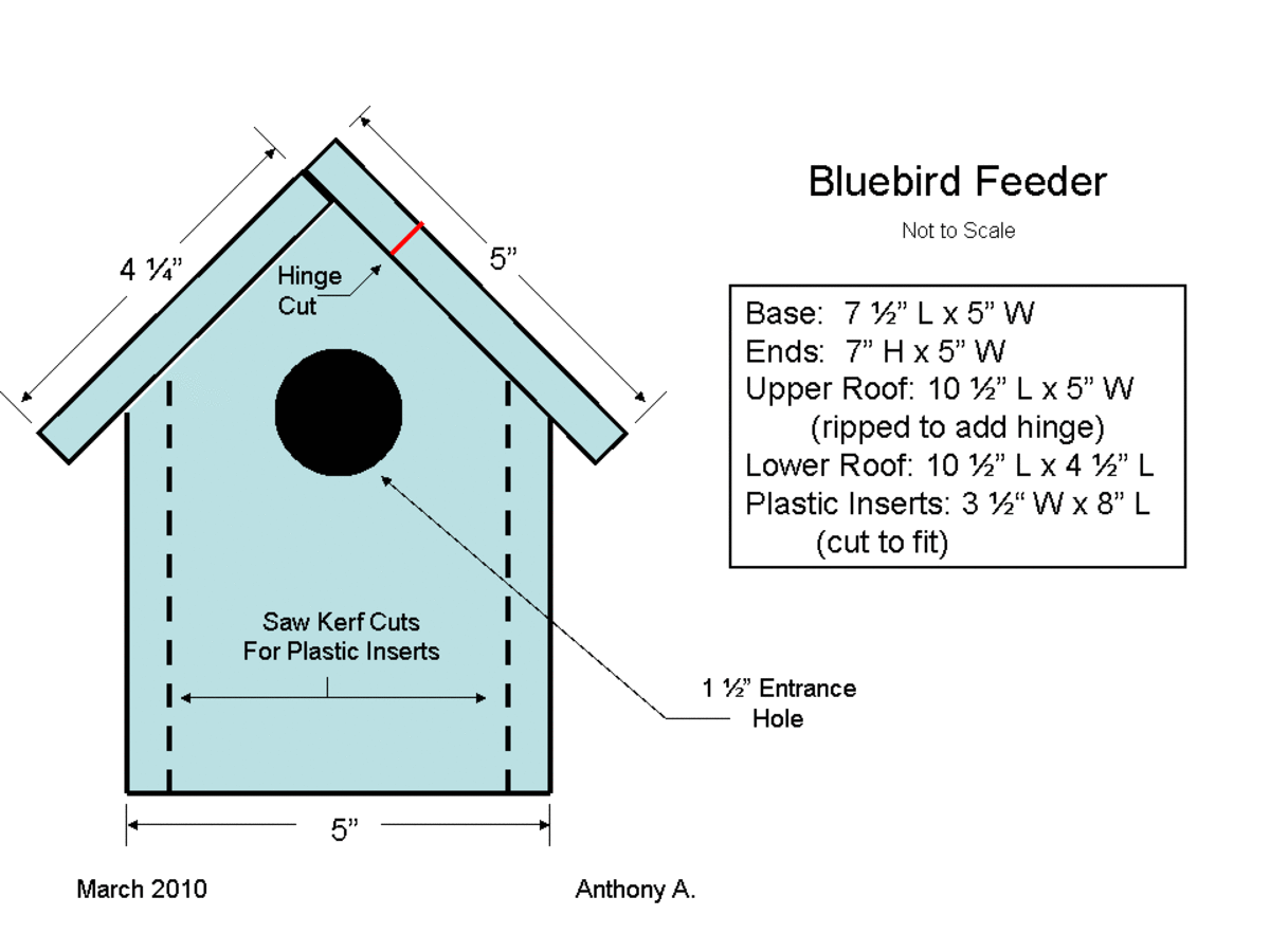 DIY Bluebird Feeder Plans