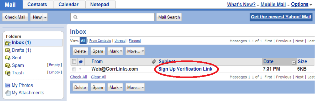 Step 6: Verification email
