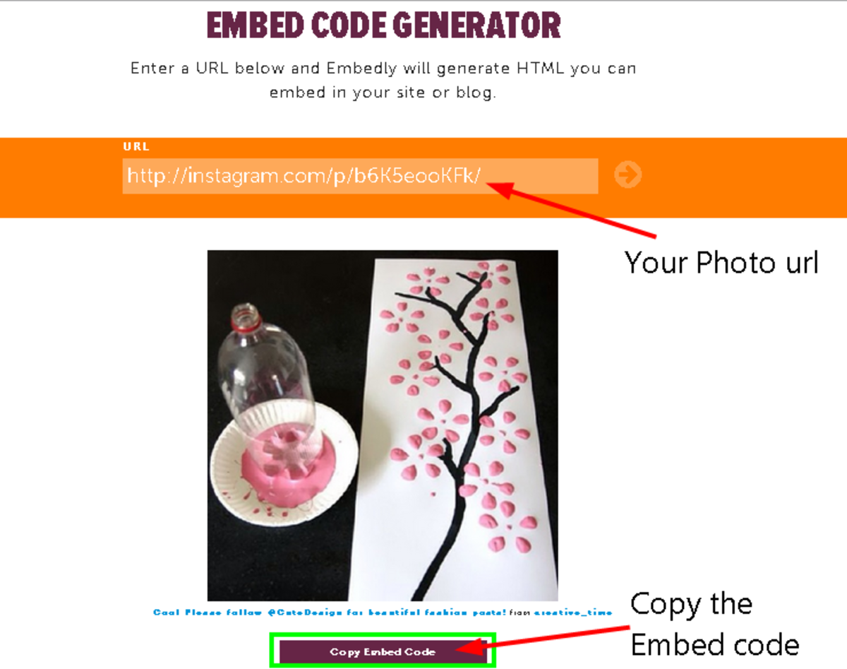 3 Ways To Embed Instagram Photos And Videos Turbofuture Technology