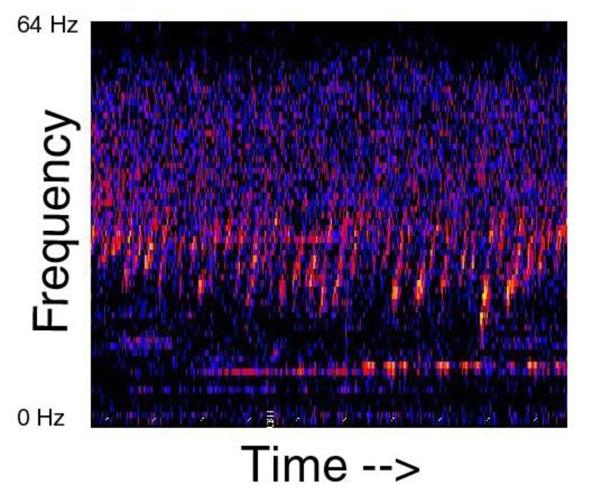 A spectrogram of the very creepy "Upsweep" audio, which has been continuously detected since 1991. 