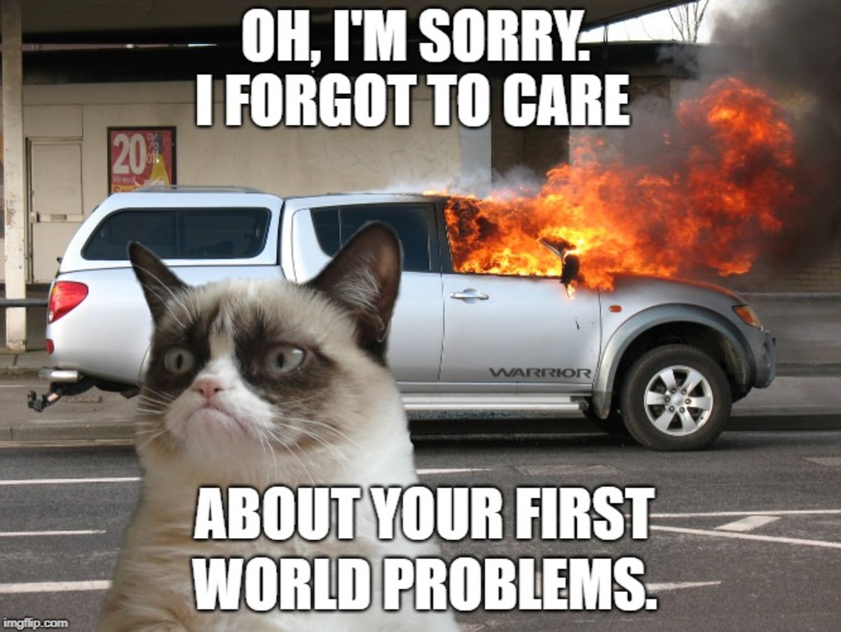 100 Funny First World Problems TurboFuture