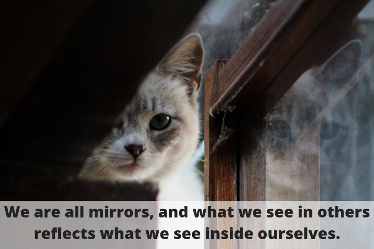 mirror-selfie-quotes-and-caption-ideas