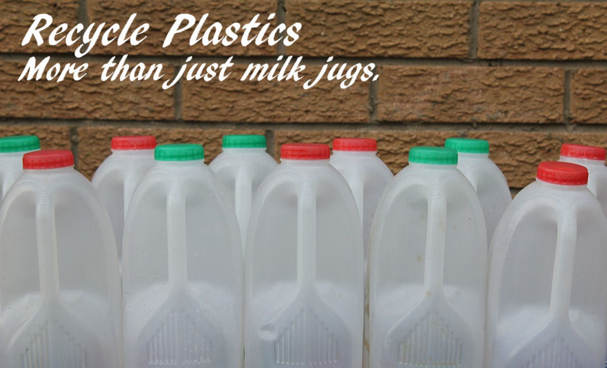 Recycled HDPE Plastic Milk Jugs