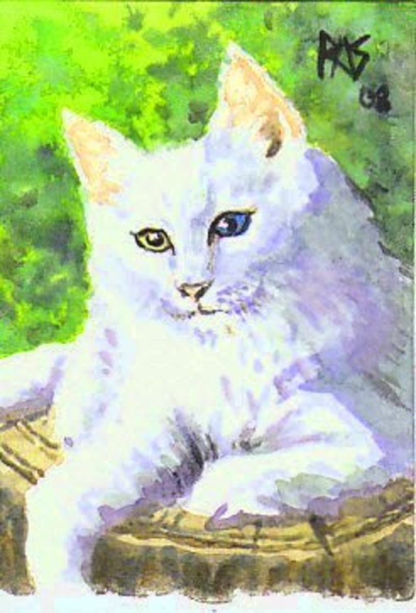 Here is one of my Norwegian Forest cat pieces based on a photo by DeviantArt member Wazabees.