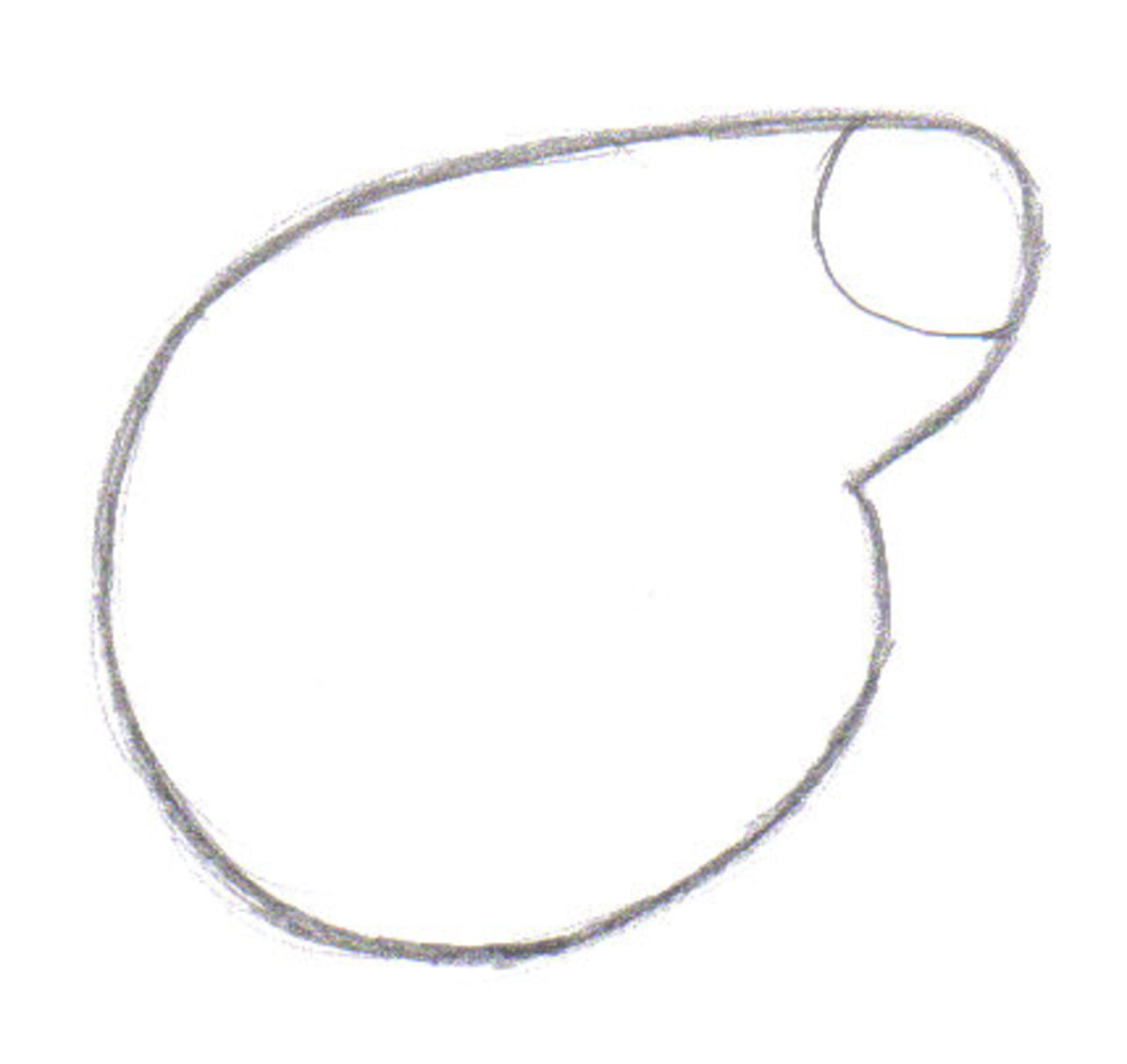 Draw the head shape.
