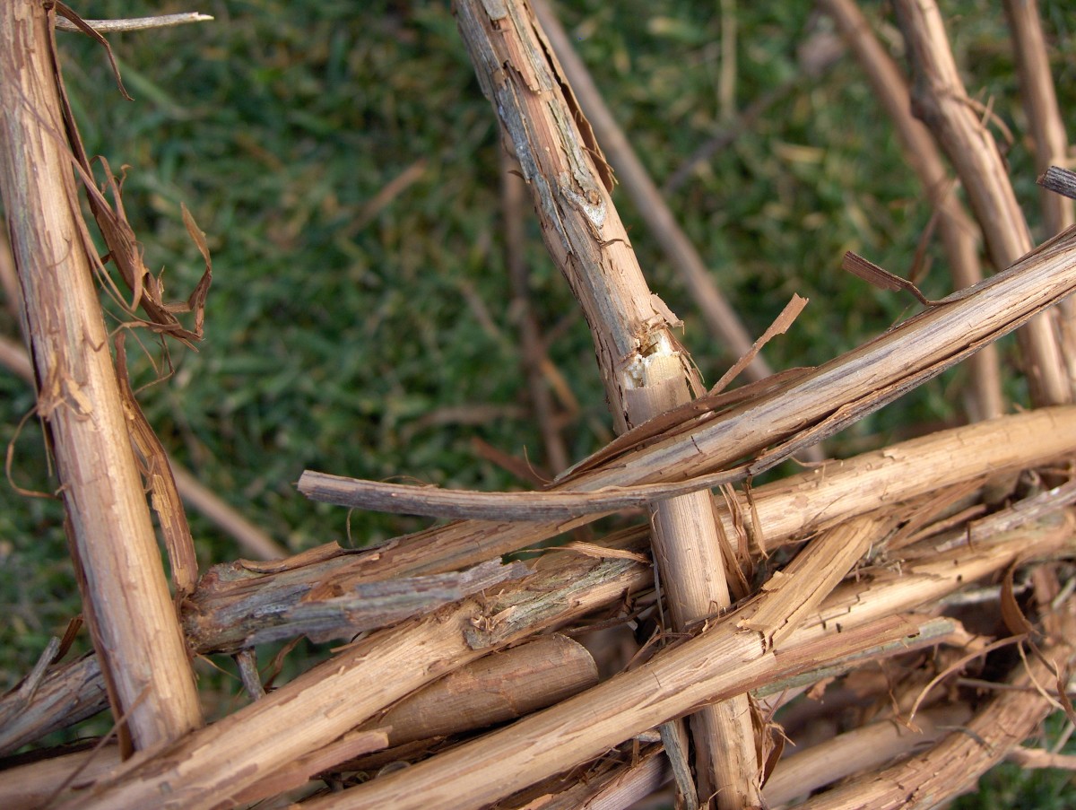 How to Make a Grapevine Basket Photo Guide