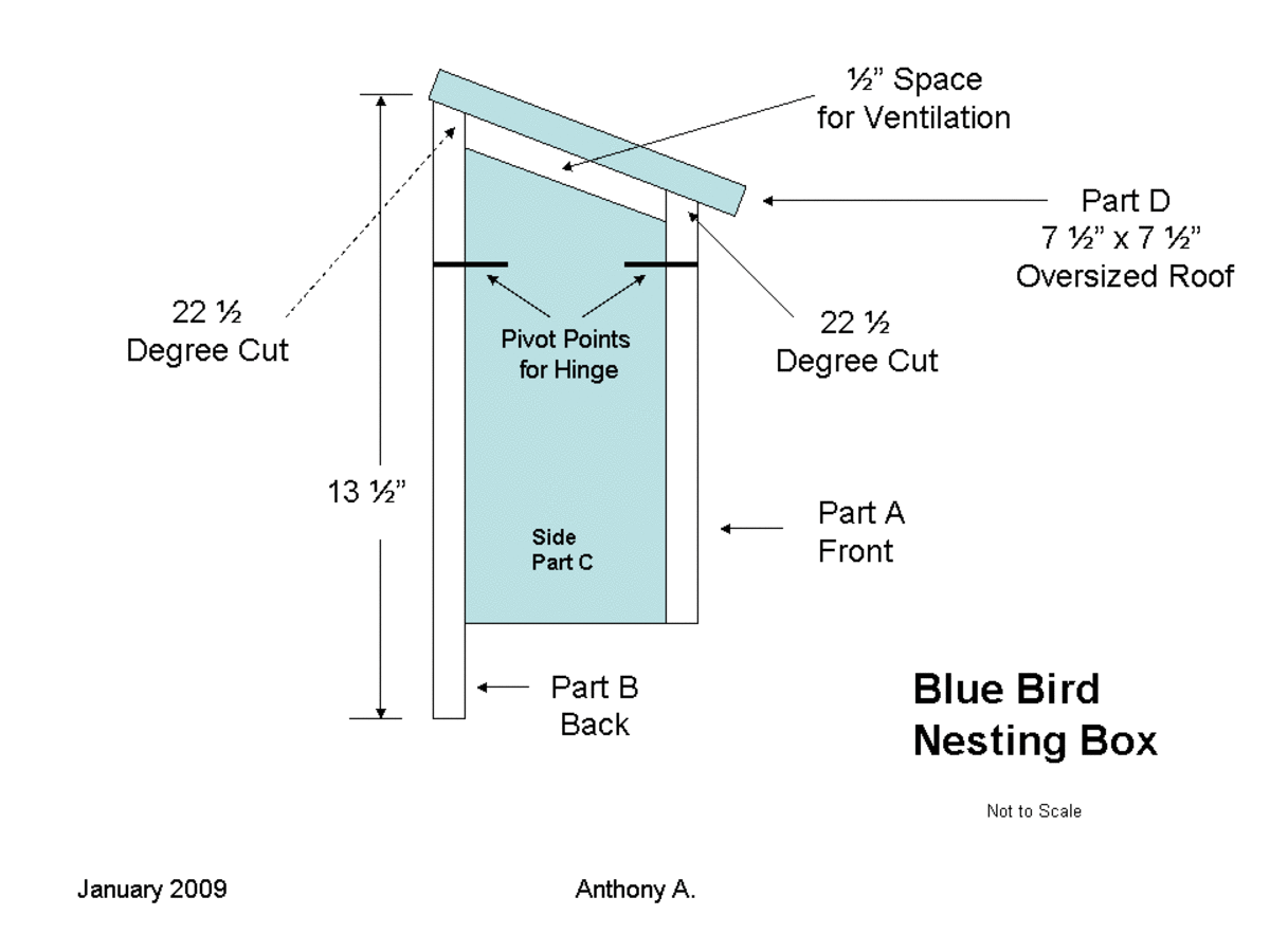 Nest box plans: Side view