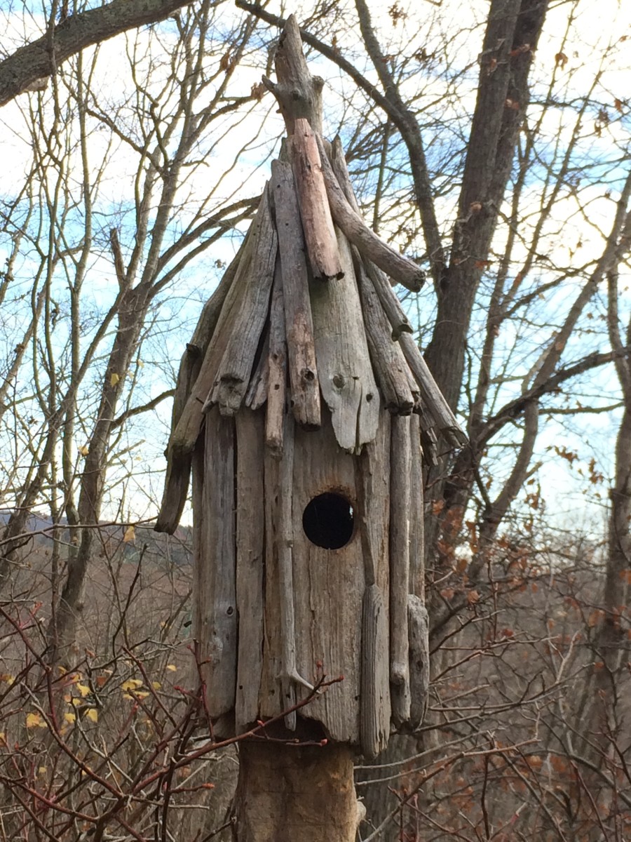 It took over 50 pieces to make this unique Driftwood Birdhouse