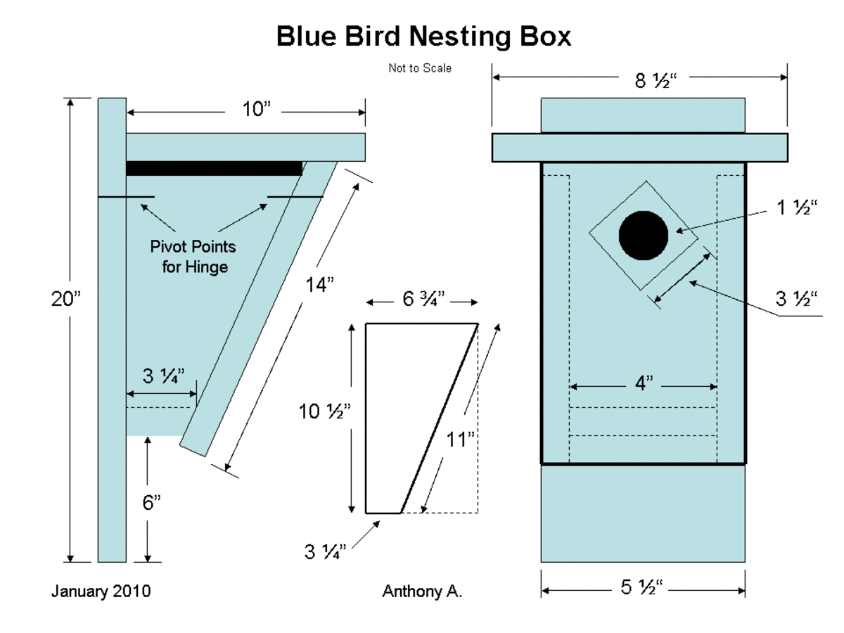 Bluebird Birdhouse Plans How to Build a Peterson SlantFront Style