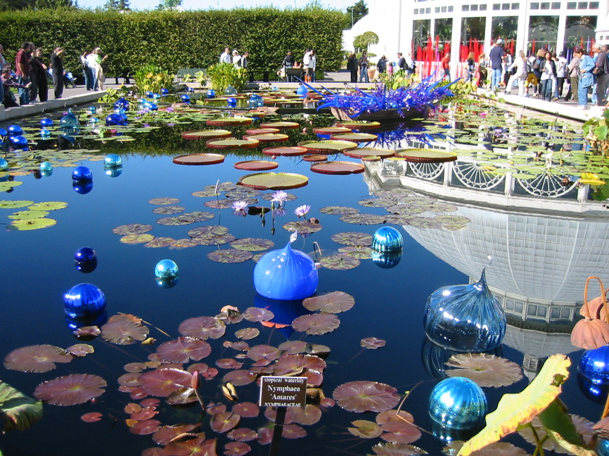 chihuly-glass-sculptures-at-the-bronx-botanical-garden