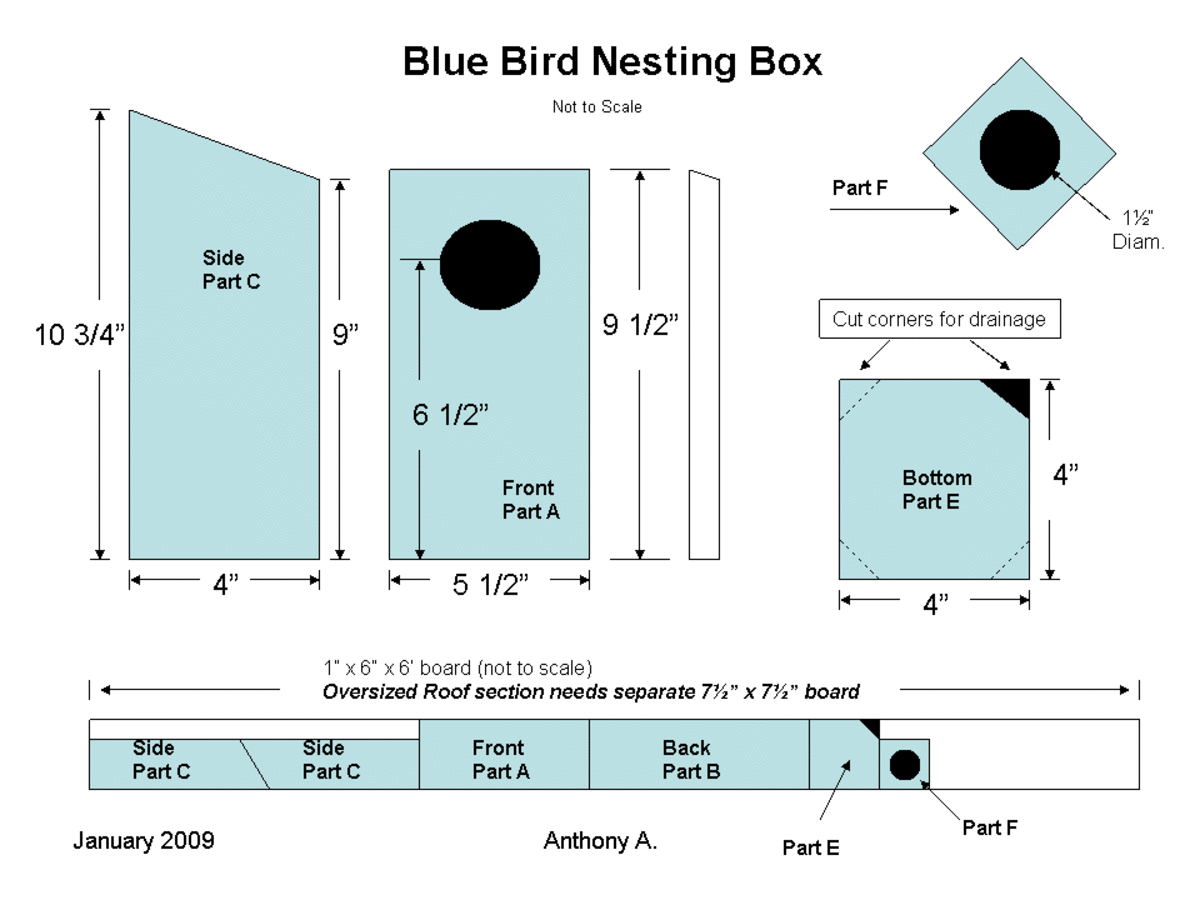 Bluebird Birdhouse Plans
