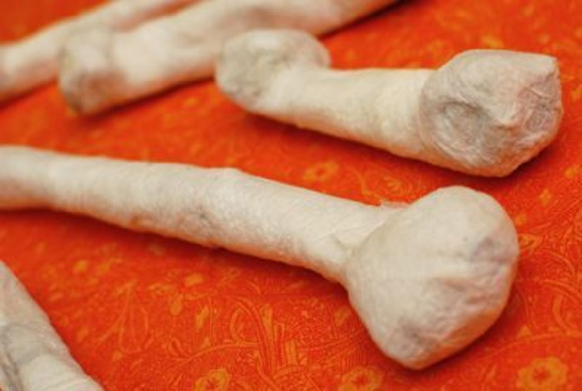 Spooky Faux Bones