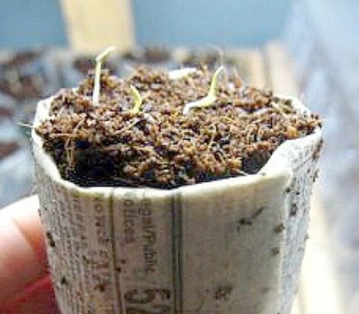 Seedling Pots