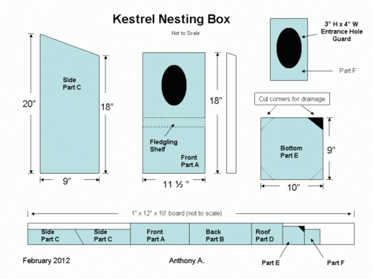 DIY Kestrel Nest Box Plans