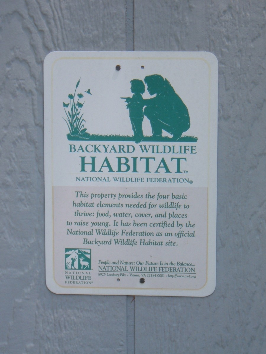 Our backyard is a certified wildlife habitat.