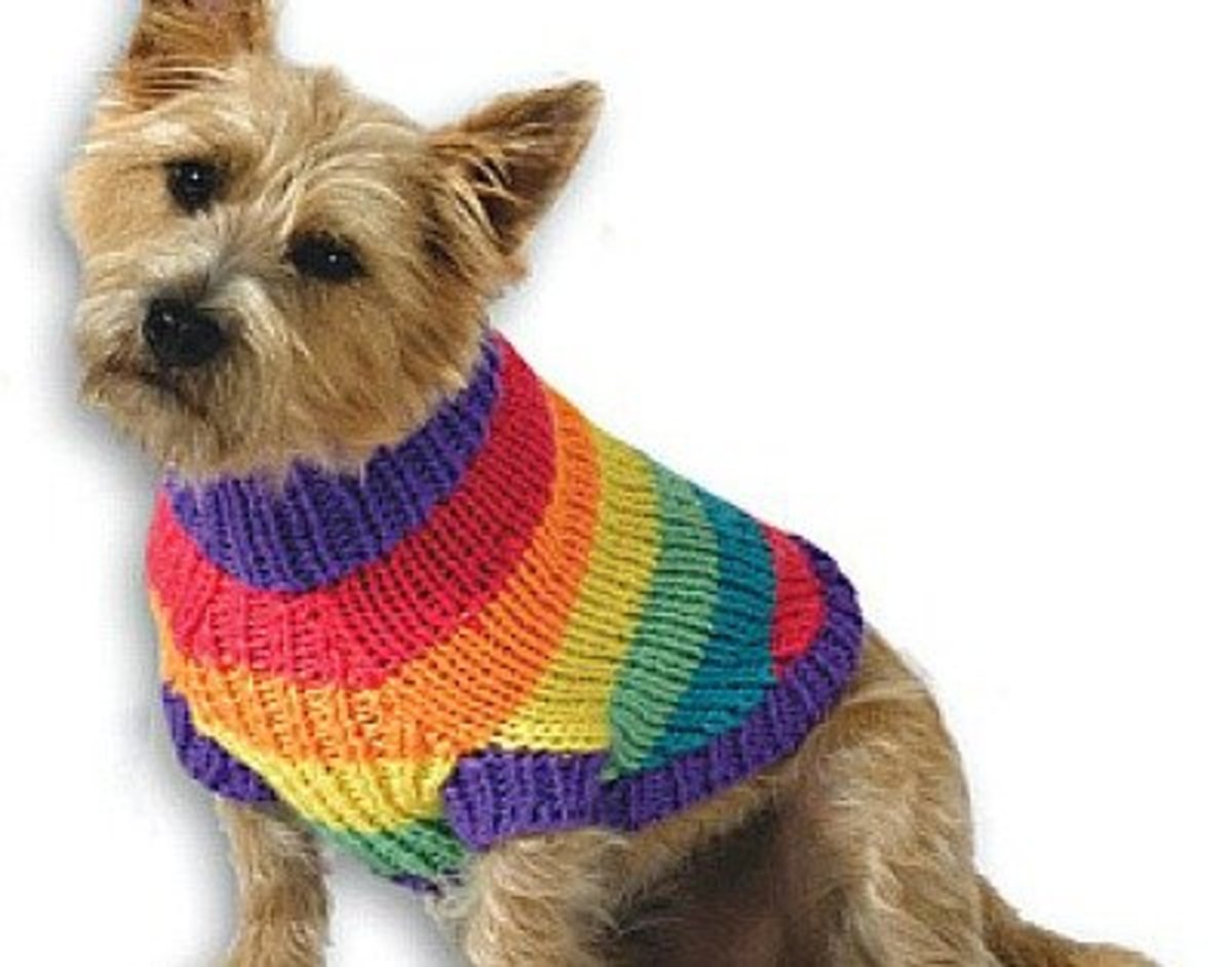 40 Fun and Easy Dog Craft Ideas