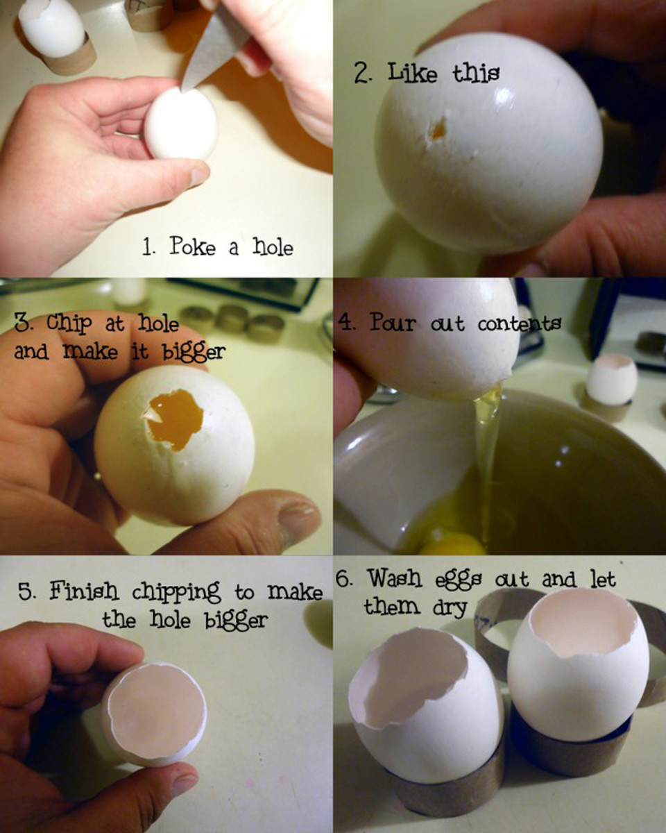 How to Empty the Egg