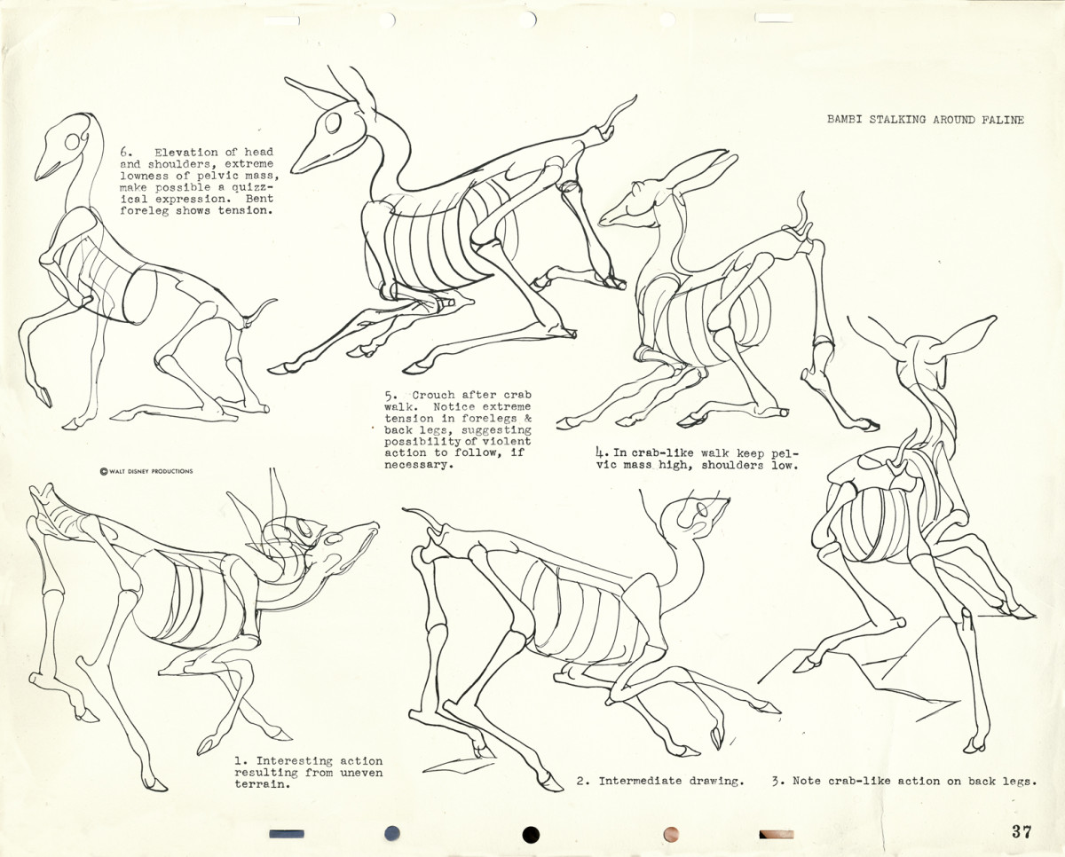 How To Draw Animals Feltmagnet