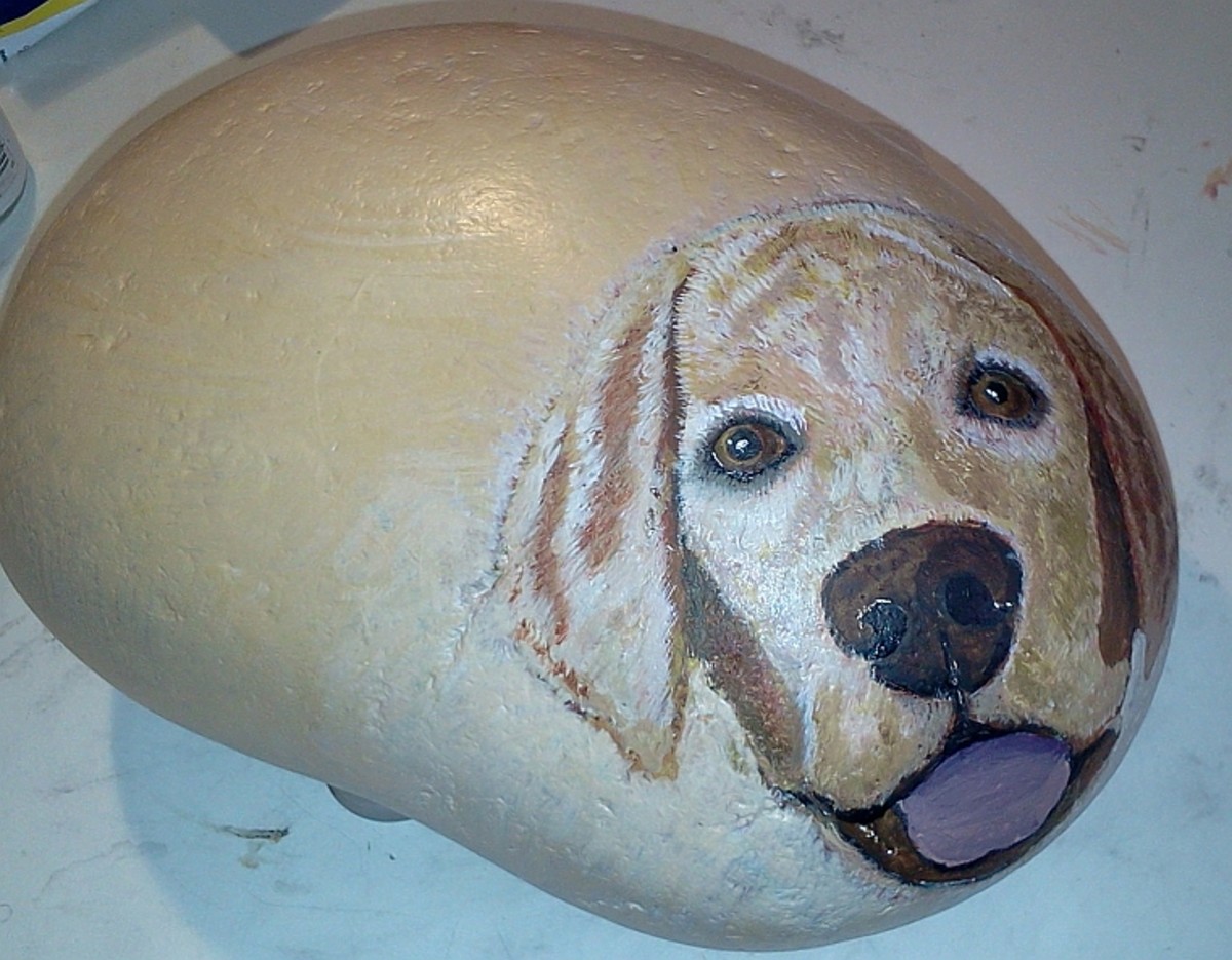 Another labrador-in-progress