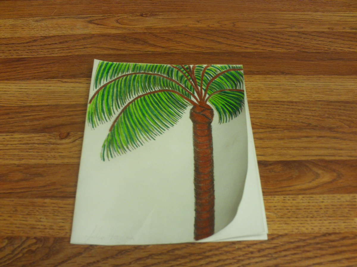 I used a sepia and brown colored pencils to shade in the trunk of the palm tree.