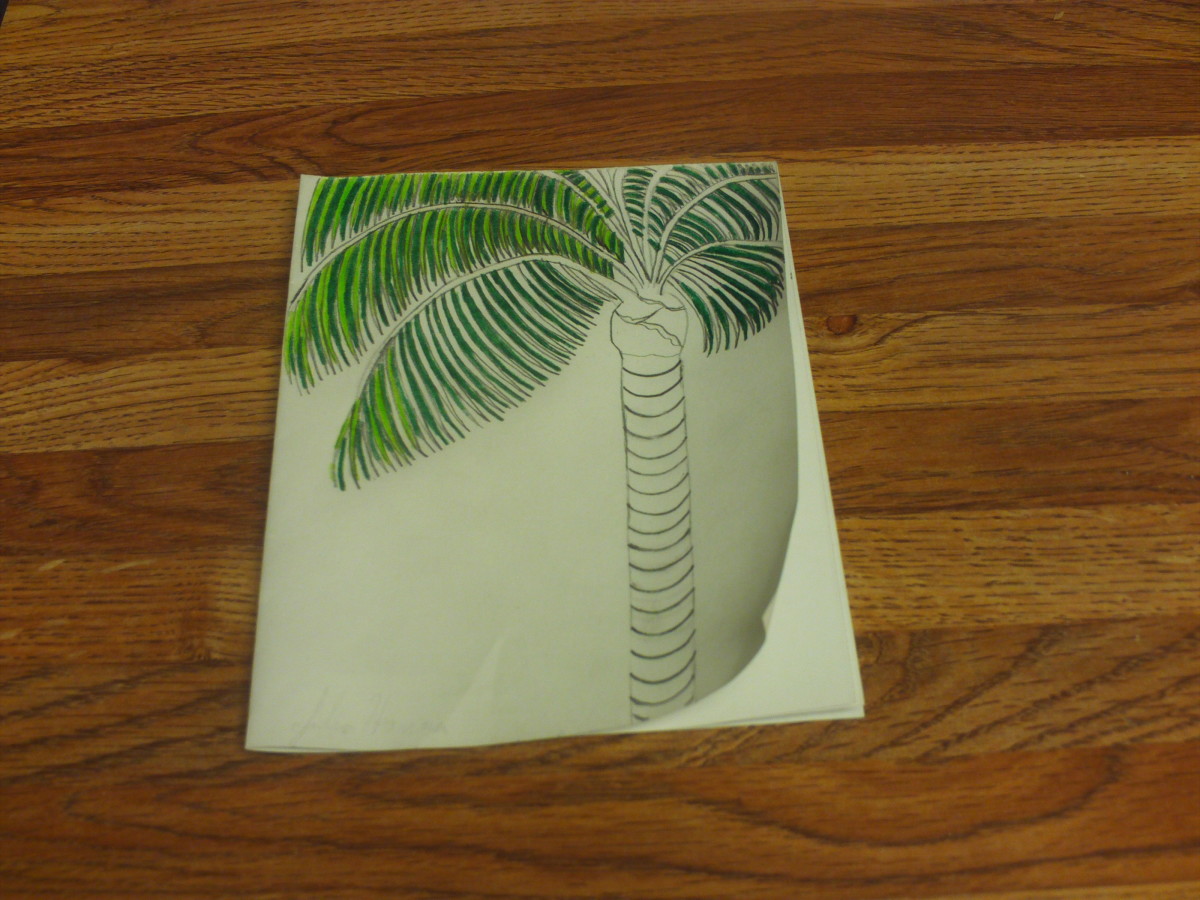In this stage of the drawing I have added more of the light green highlighting to the palm tree fronds.