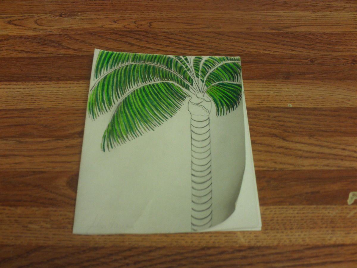In this phase of the sketch all of the fronds of the palm trees have been colored in.