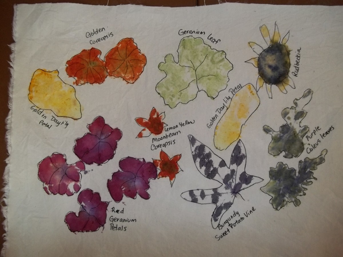 Color samples from a variety of flowers