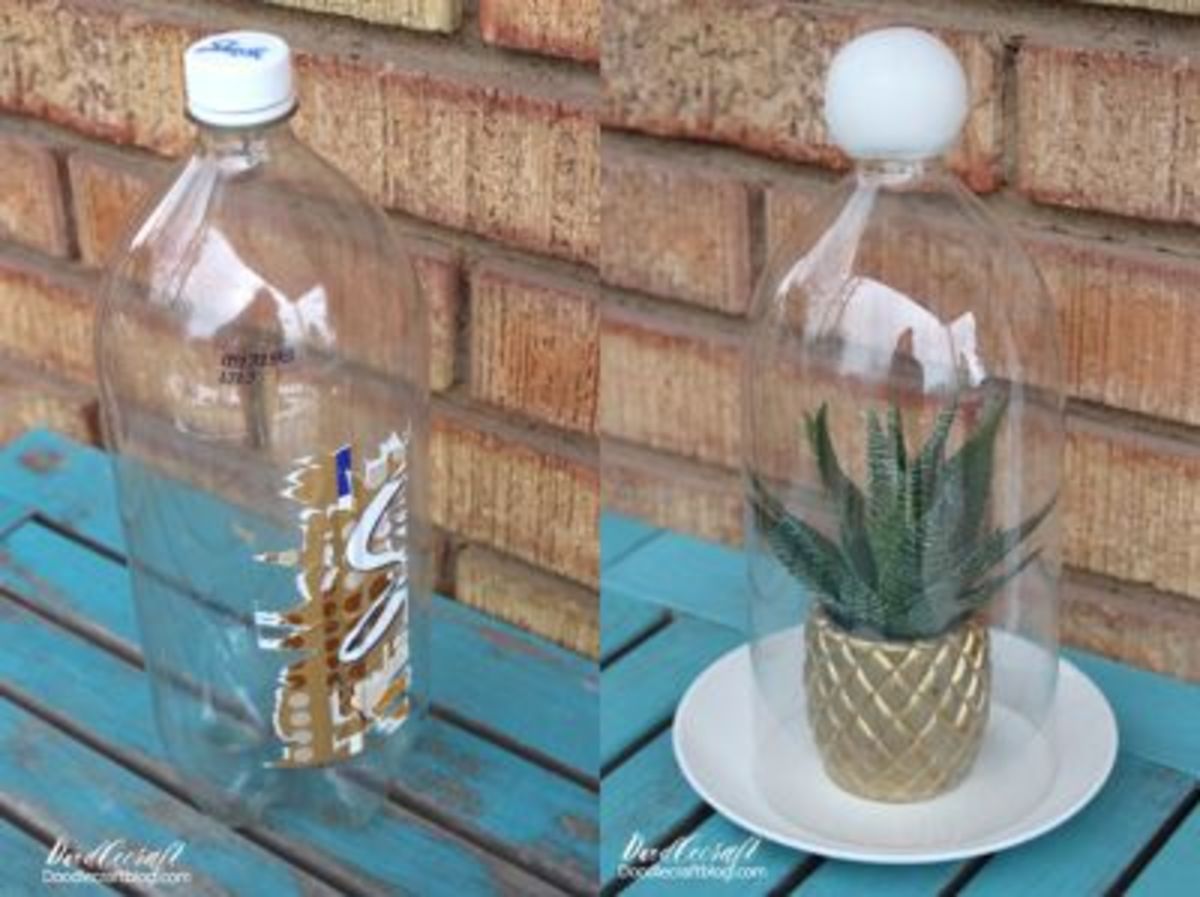 best-plastic-bottle-crafts