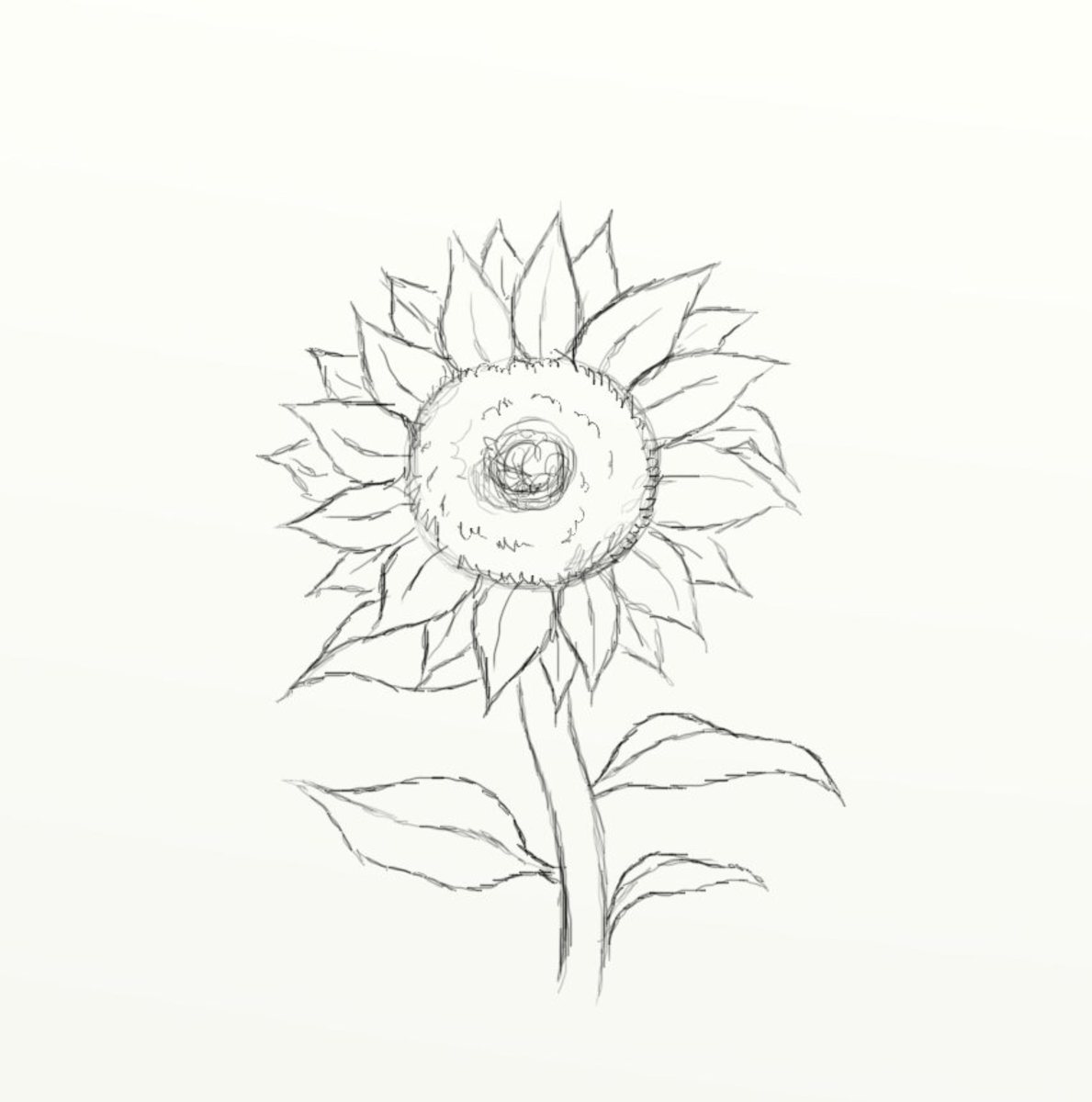 how to draw a sunflower step by step easy