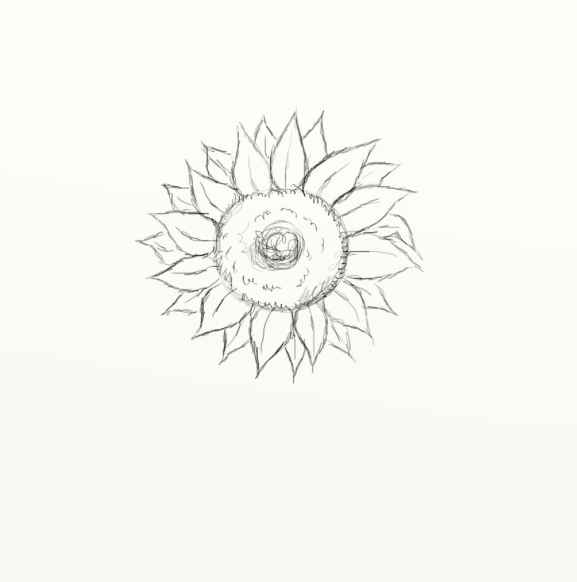 How to Draw a Sunflower (in 10 Easy Steps)