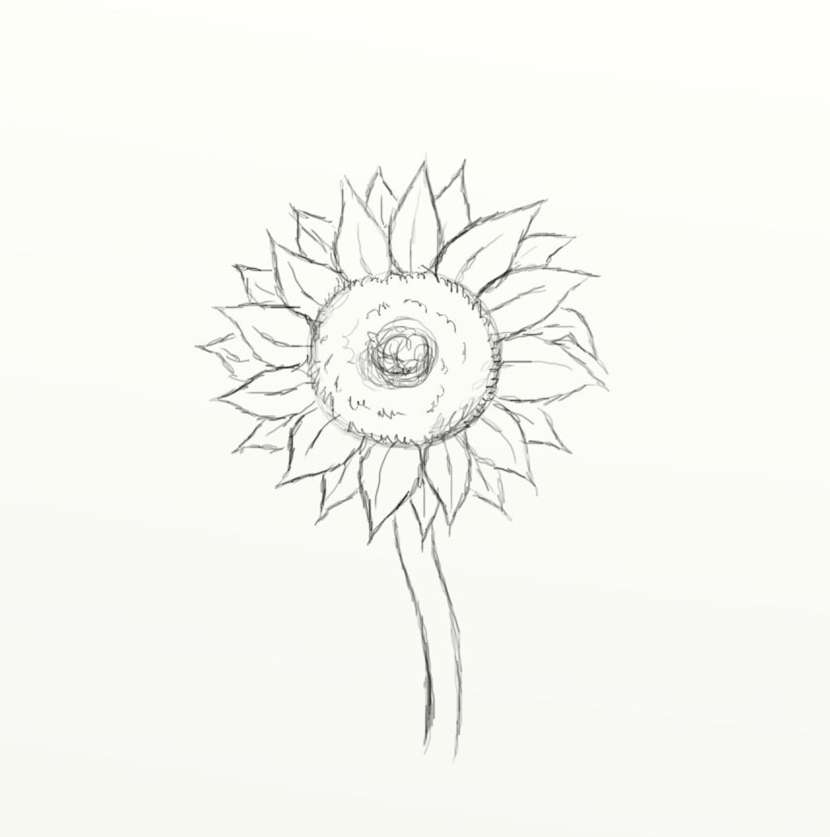 Sunflower and Butterfly Graphite Pencil Drawing PRINT – Machine Liberté
