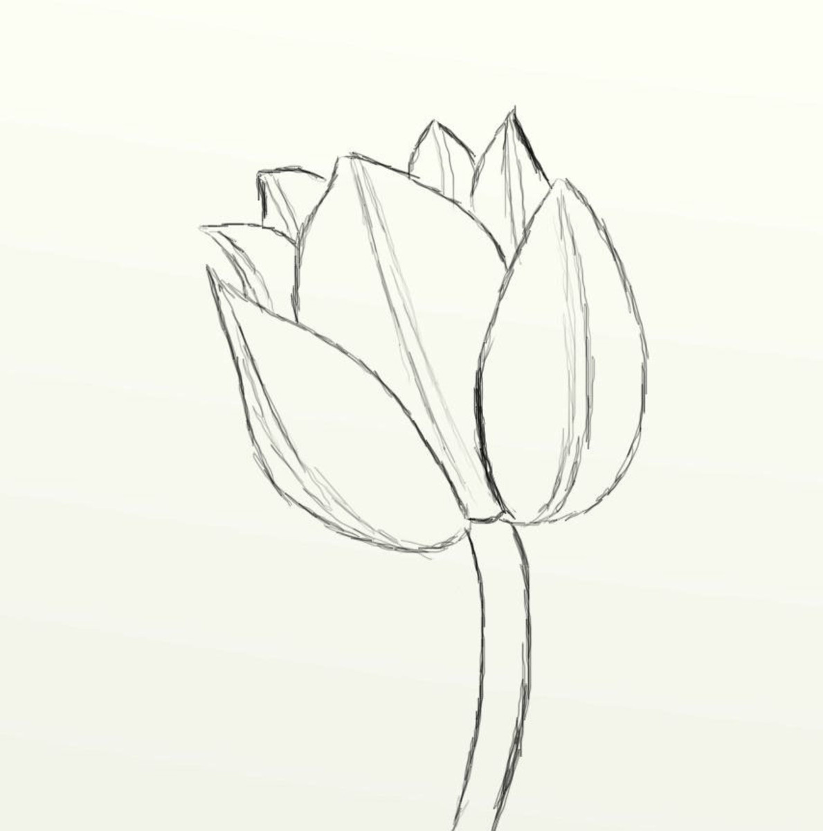 How to Draw a Beautiful Tulip (in Seven Simple Steps)