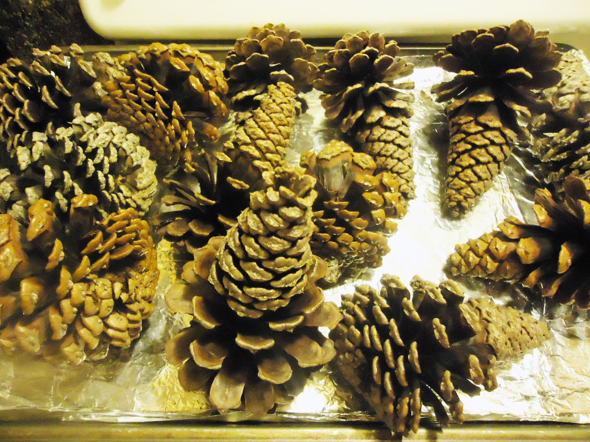 How to Make Scented Pine Cones