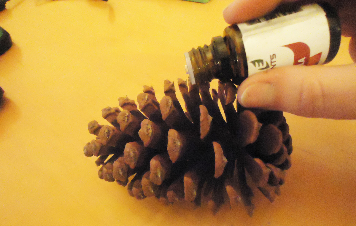 How to Make Scented Pine Cones Crafts