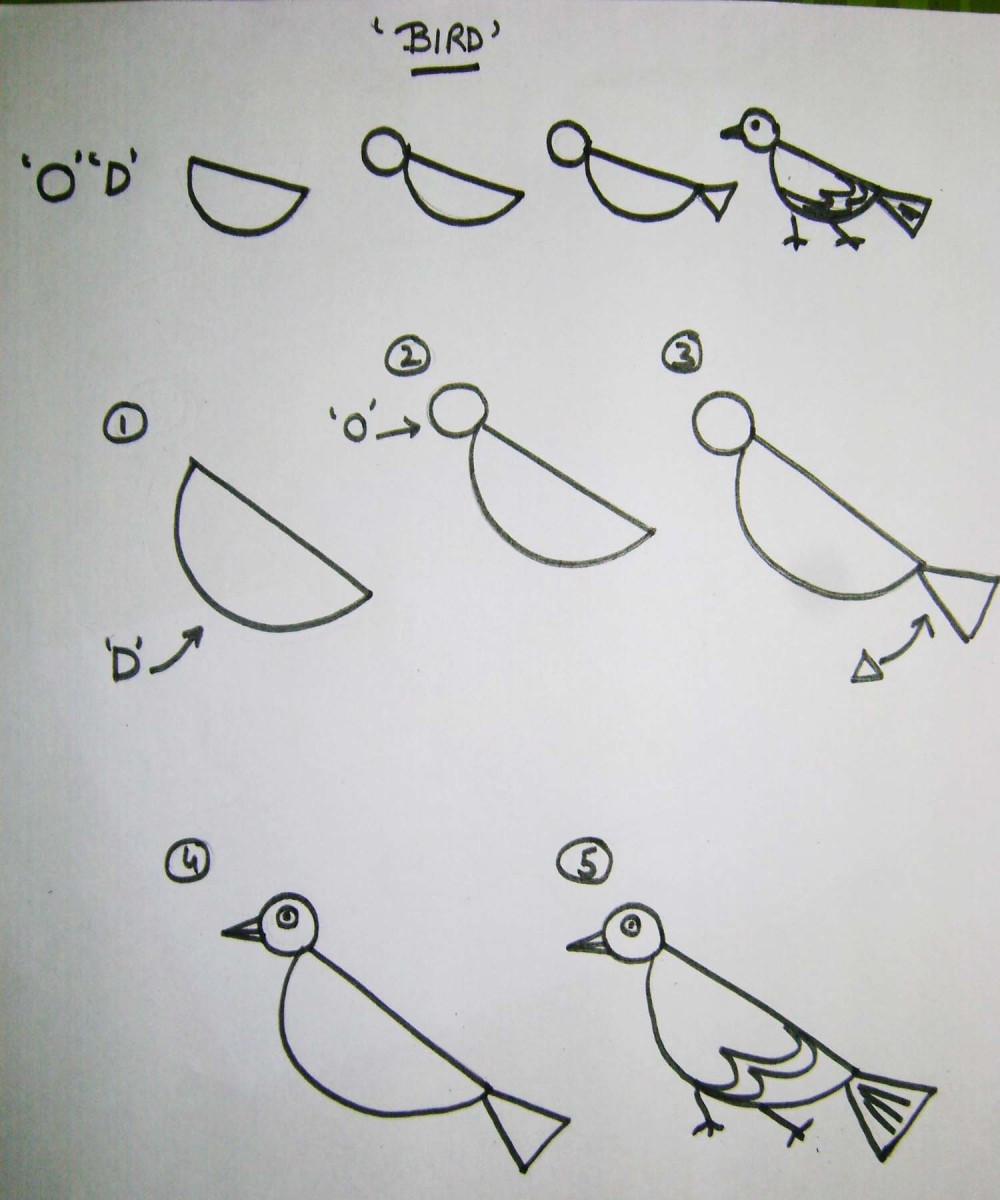 how to draw a cute bird step by step. pets animal cartoon coloring  character collection for kids. easy funny animal drawing illustration for  kids creativity. drawing guide book in vector design. 4677657