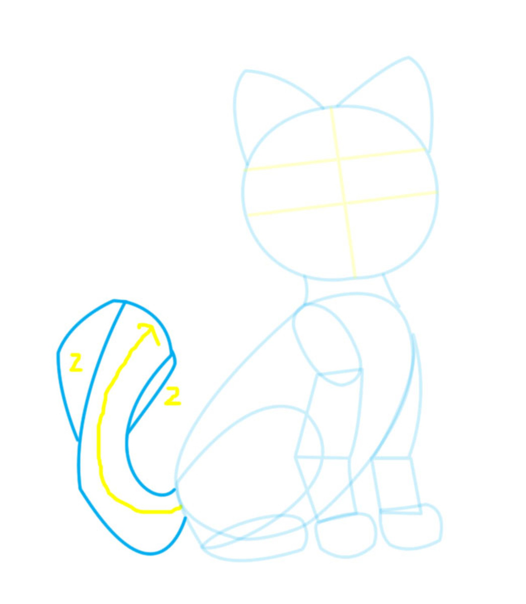 Step 9. Draw the tail according to this illustration.
