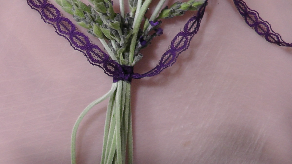 Tie lavender stems together, knot, then cut off excess ribbon.