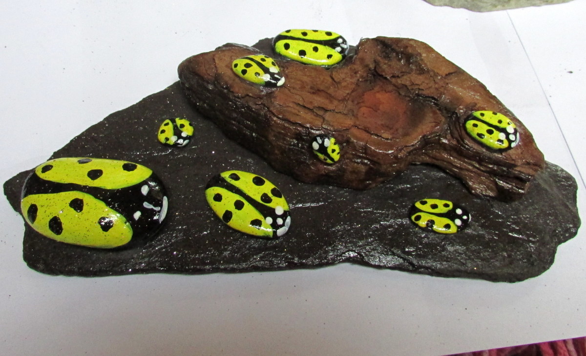 Ladybugs on Rocks