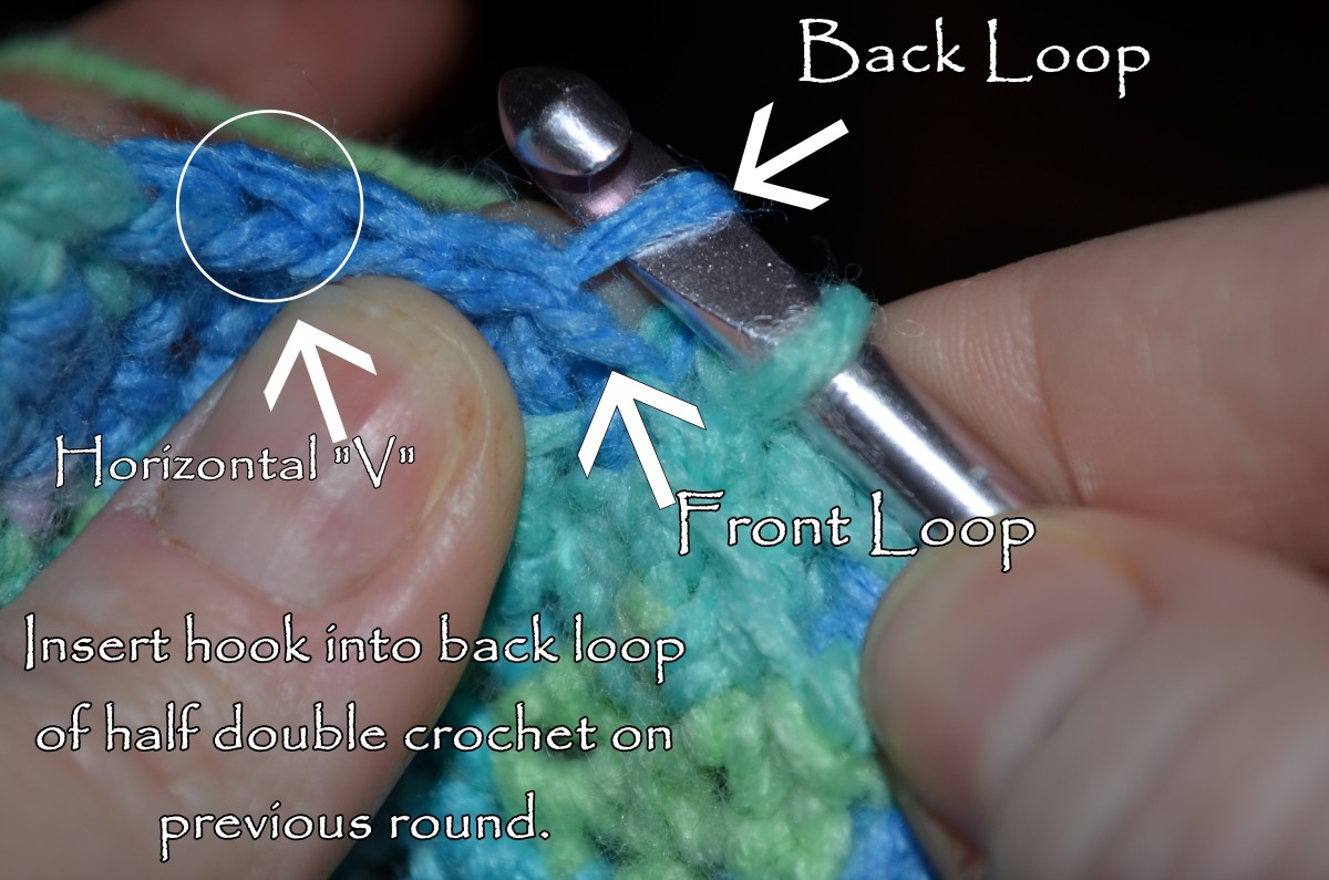 Insert hook into back loop of half double crochet stitch in the previous round.