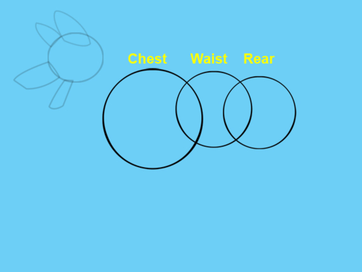 Draw one large circle for the chest area, a smaller circle for the waist, and another circle the same size as the waist for the rear end.