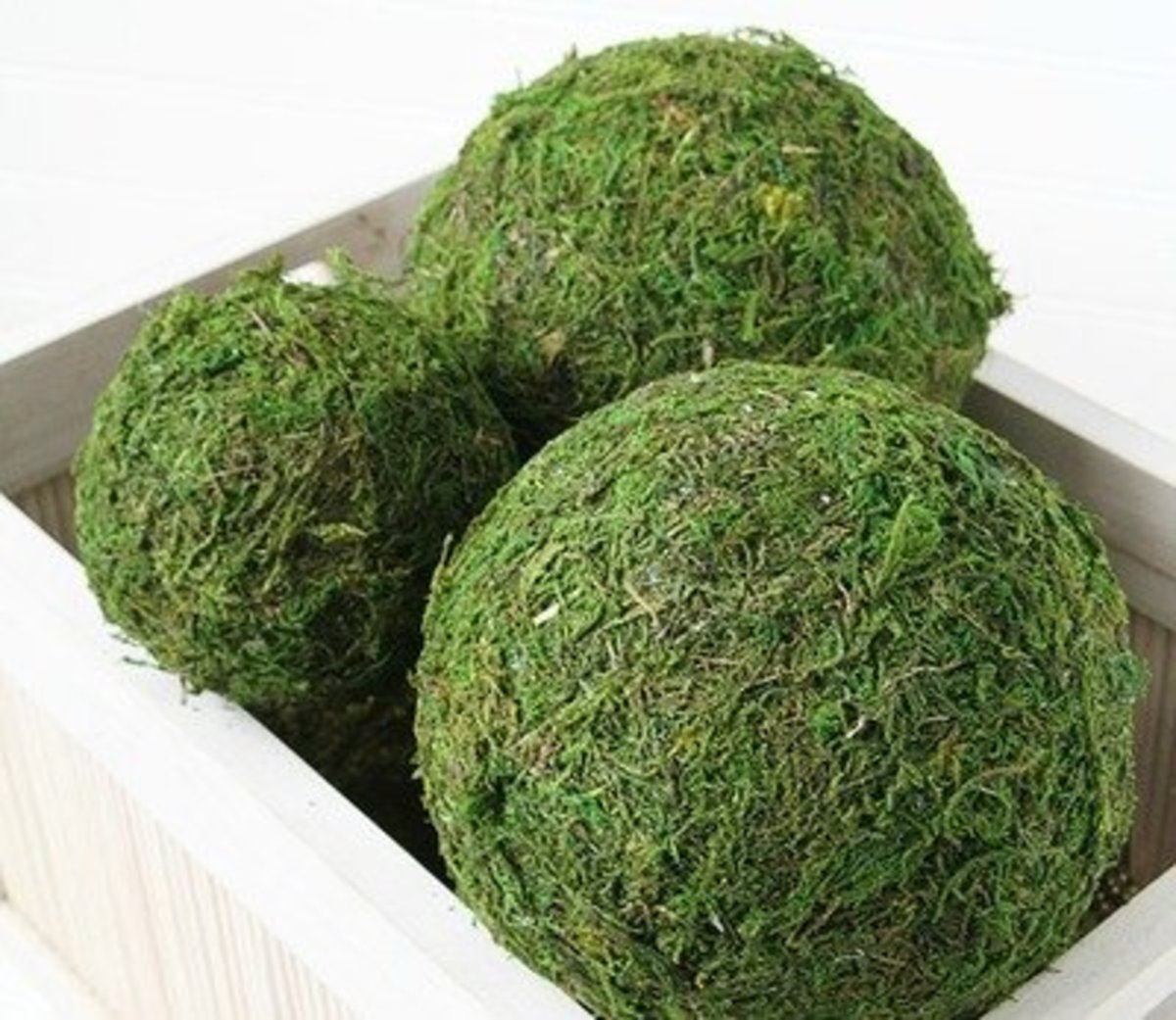 ways-to-use-moss-in-crafts