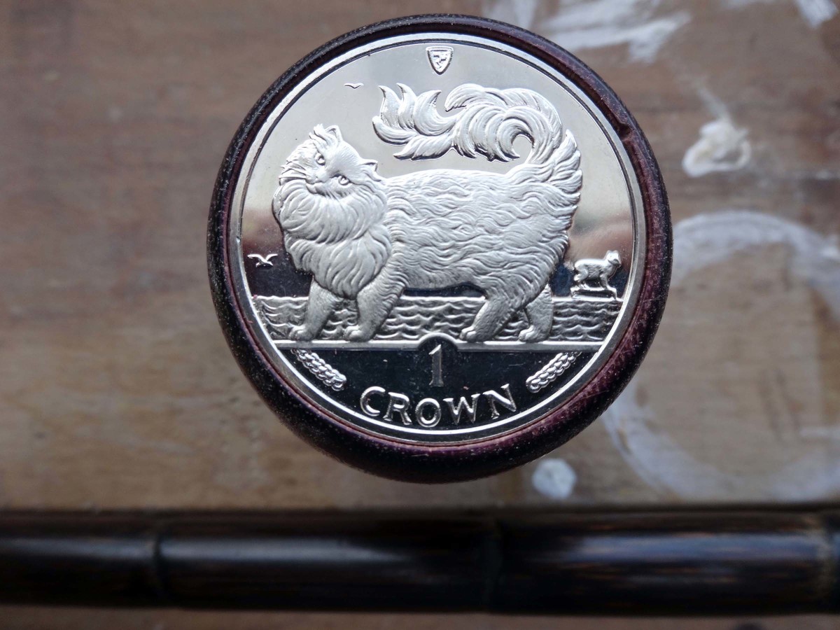 Cat motif coin in walking stick handle